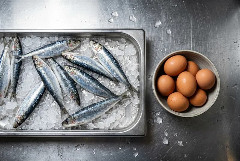 Sardinhas frescas sobre gelo numa bandeja de aço, com ovos numa tigela ao lado